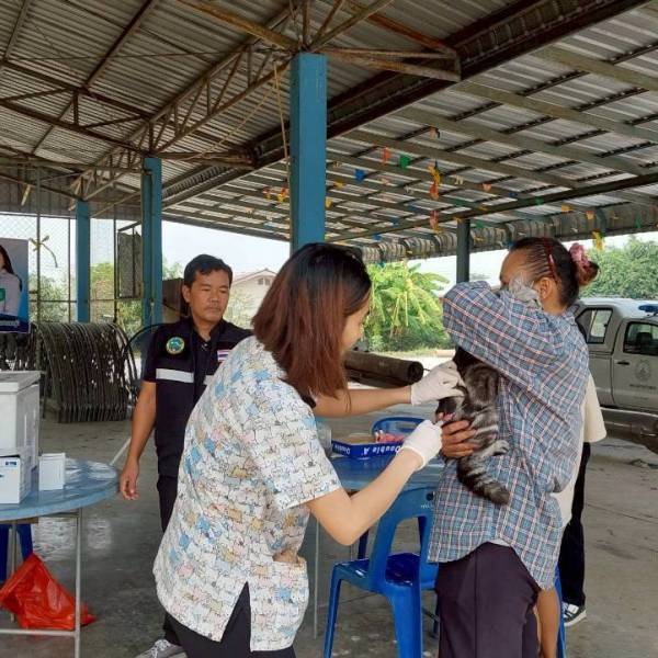 ปศุสัตว์อำเภออู่ทอง รณรงค์ฉีดวัคซีนป้องกันโรคพิษสุนัขบ้า ประจำปีงบประมาณ 2569 ในพื้นที่ อ.บ้านดอน