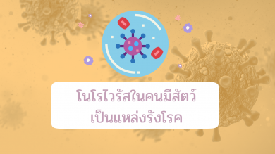 โนโรไวรัสในคนมีสัตว์เป็นแหล่งรังโรค