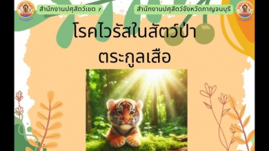 โรคไวรัสในสัตว์ป่า ในตระกูลเสือ