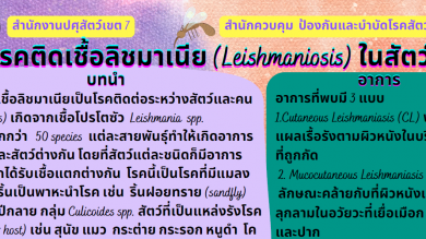 โรคลิชมาเนีย (Leishmaniasis) ในสัตว์