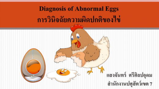 การวินิจฉัยความผิดปกติของไข่