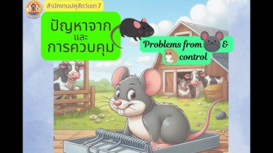 การป้องกันและกำจัดหนู